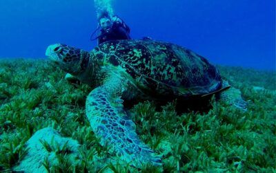 Best biology field trip ideas
