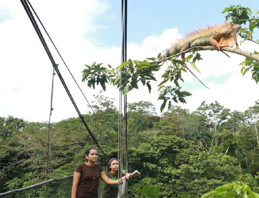 Costa Rica trips for singles
